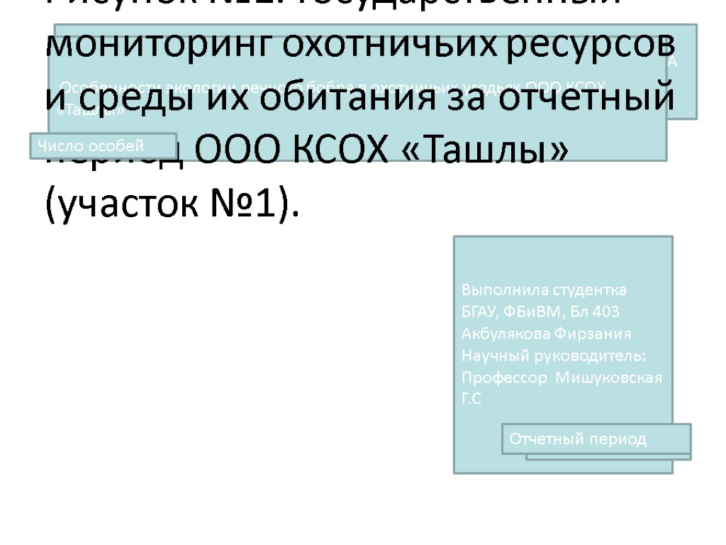 Рисунок №1. Государственный мониторинг охотничьих ресурсов и среды их обитания за отчетный период ООО